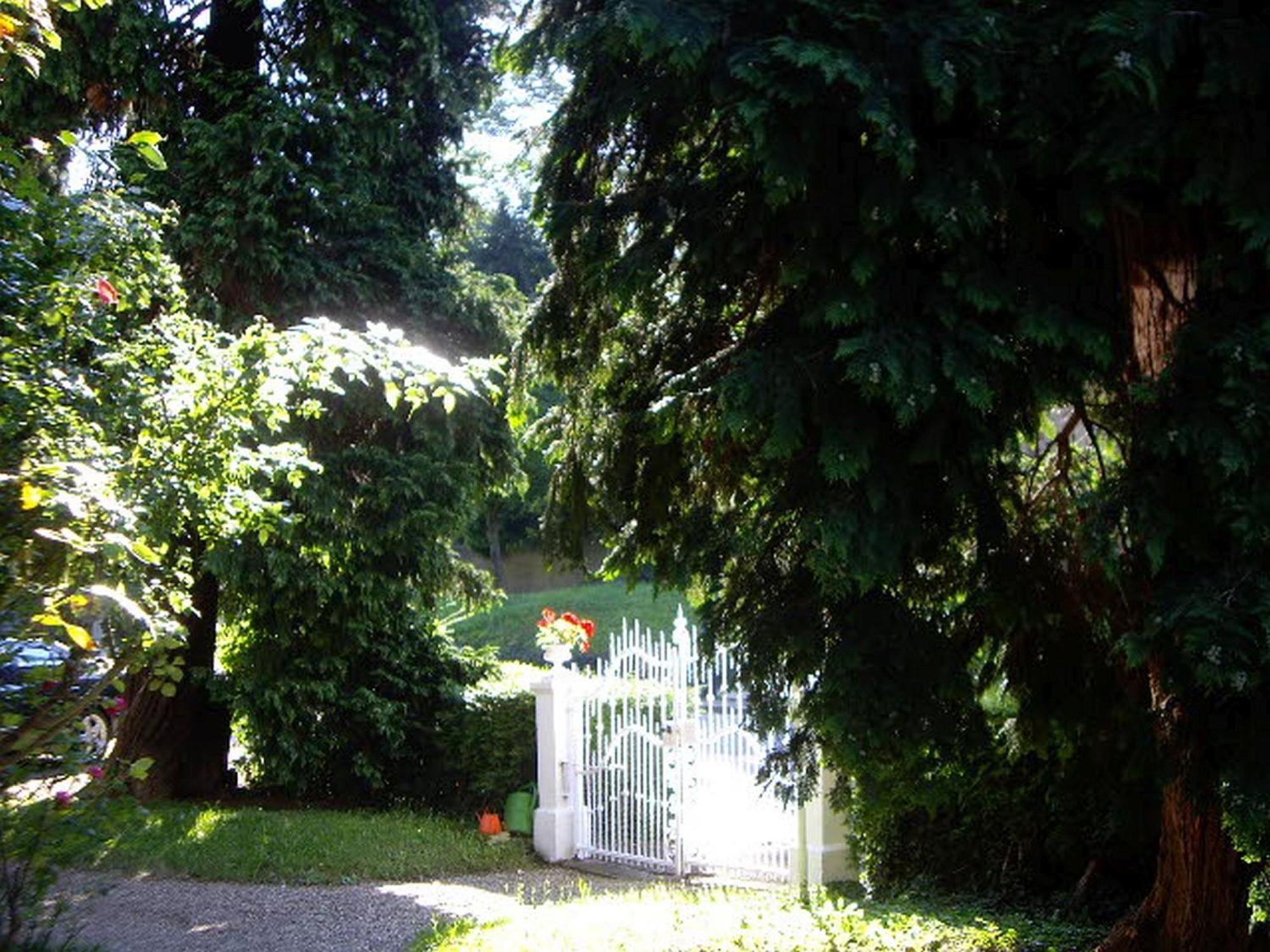 Villa Martha Badenweiler Exteriör bild